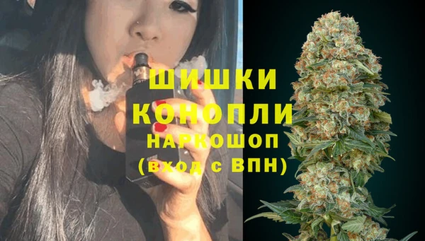 PSILOCYBIN Абаза