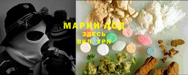 PSILOCYBIN Абаза